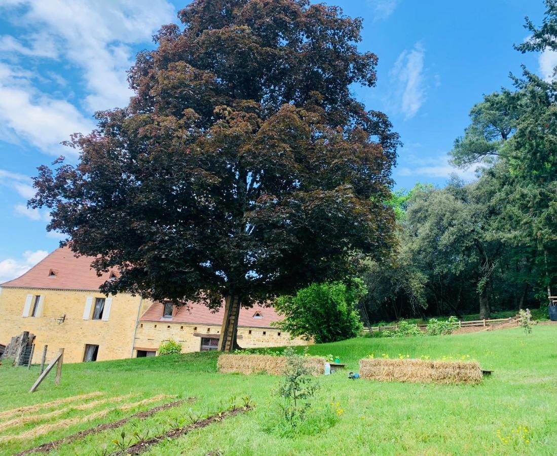 Villa L'écrin des symes Simeyrols Exterior foto